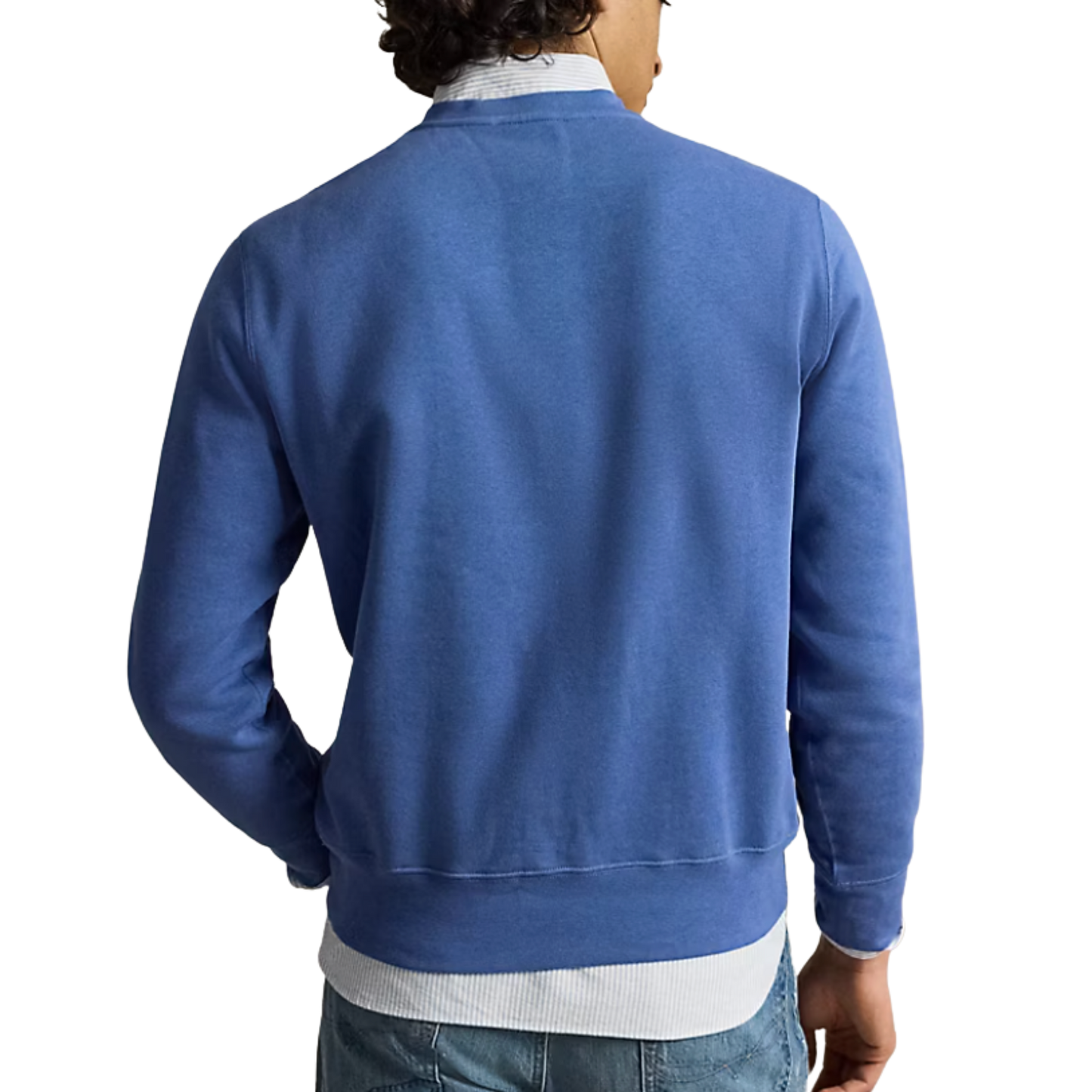 Polo Bear Fleece Sweatshirt