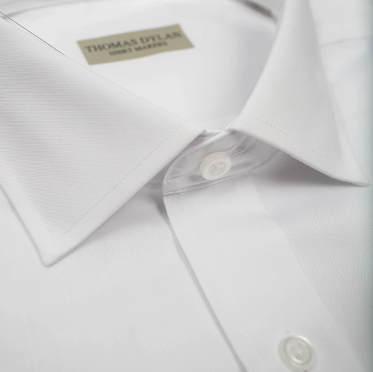 223 TD Solid White SC TF