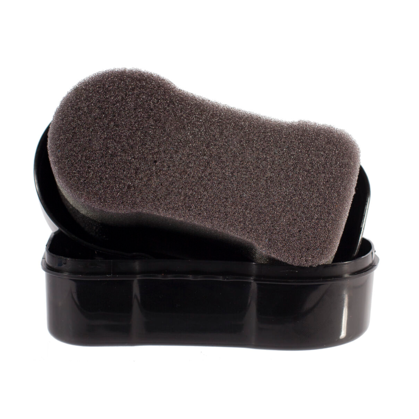 Instant Shine Sponge